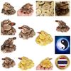 Chinese Amulet Toad Frog Feng Shui Yin Yang Home Office Decor  Vintage Protect Charm Talisman Powerful Wealth Success Health Lucky Jewelry Unisex