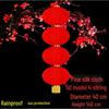 Outdoor Festive Red Lantern String
