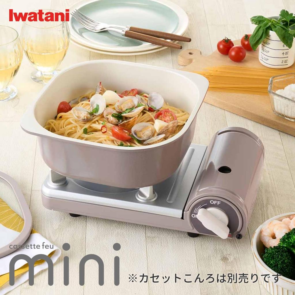 Iwatani Square Pot 20 CB-A-SP20-M Mocha