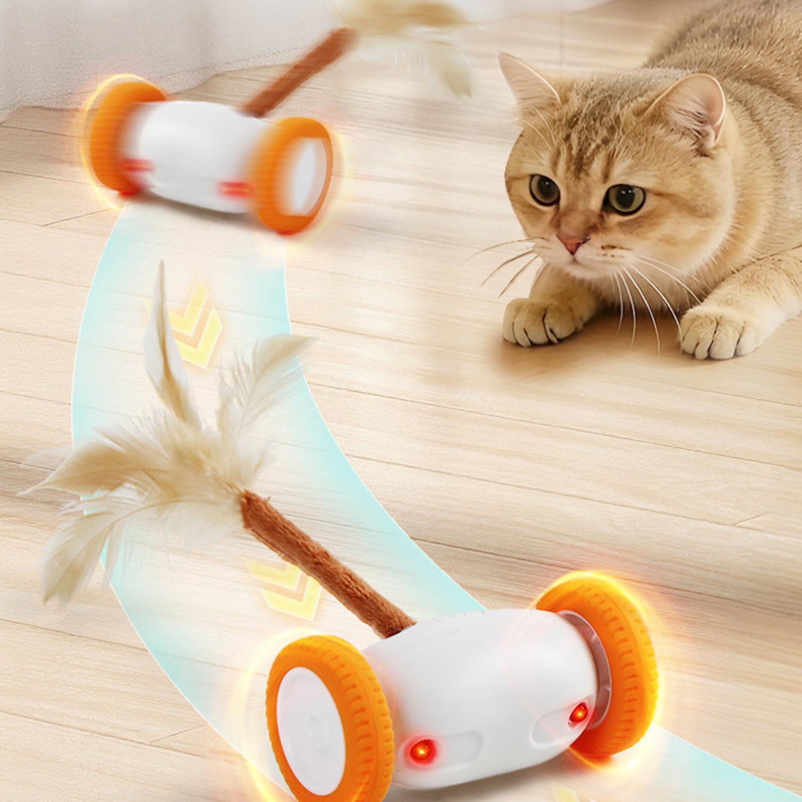 

Автоматическая игрушка для кошек со светом, хвостом, USB-зарядкой, для самостоятельной игры, автоматическое движение, игрушки для котят, домашних животных, в помещении, квартиры China Mainland