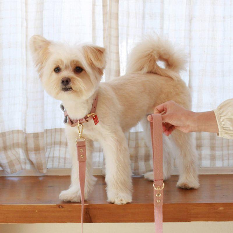 MAISON DE MIU Laufbegleiter Leder&Gurtband Leine_Rosenrot