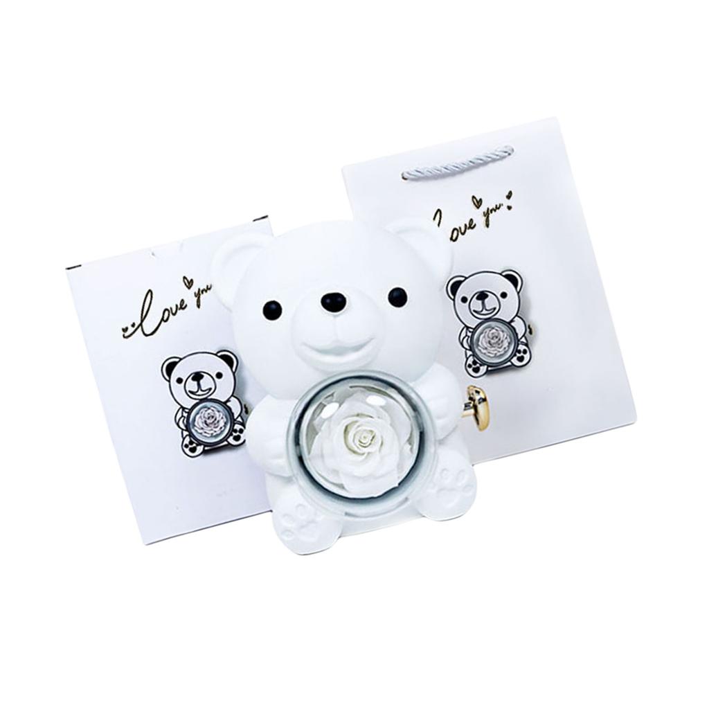 Romantyczny Miś Pudełko Prezentowe z Różą Konserwową Eleganckie na Walentynki Dzień Matki Śluby Rocznice Różne Kolory