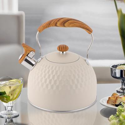 Tea Kettles Whistling Induction Tea Kettle for Stove Stainless Steel Pot 2.5L Hot Water Boiler Teapot for Home Kitchen Travel