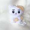 EN Plush Keychain Doll: Liang Zhenyuan, Shen Zai Lun, Park Zongxing, JAY Park, Chengxun Characters