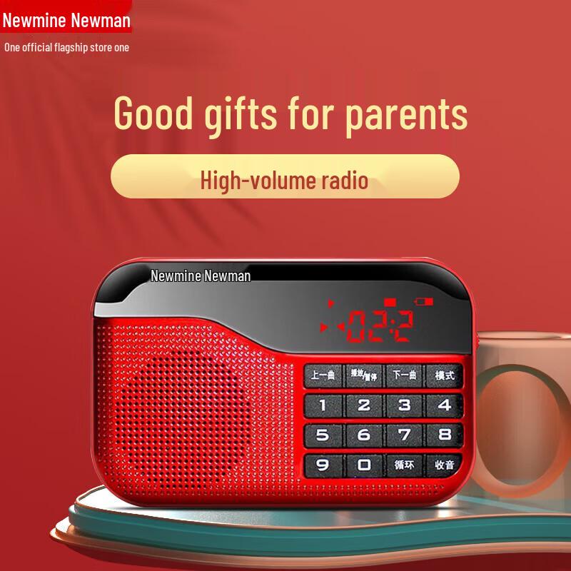 Newman Portable Multi-Function Radio Player