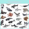 סט מודלים פרימיום מ-PVC של חיות אוקיינוס כולל כרישים צבים דולפינים פינגווינים וסרטנים למשחק חינוכי