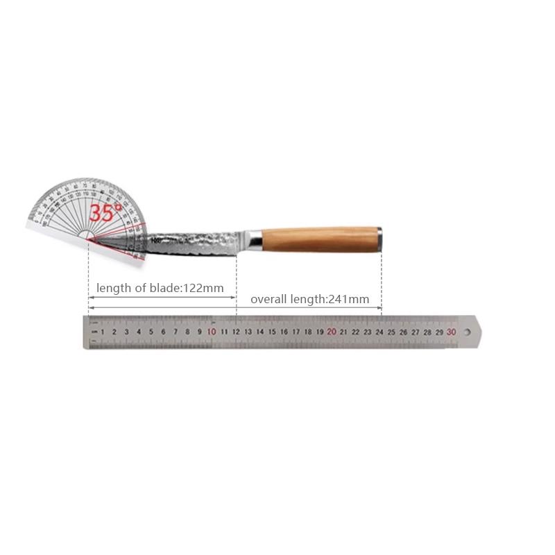 HuoHou Damascus Steel Shadow Pro Knife - 12-Layer VG-10 Core Multi-Purpose Chef Knife for Sashimi & Carving - Triple Tempered Ed