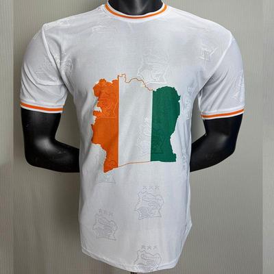 Ivory Coast World Cup 2026-2027 Player Edition White Short Sleeve Soccer Jersey (Sizes S-2XL)