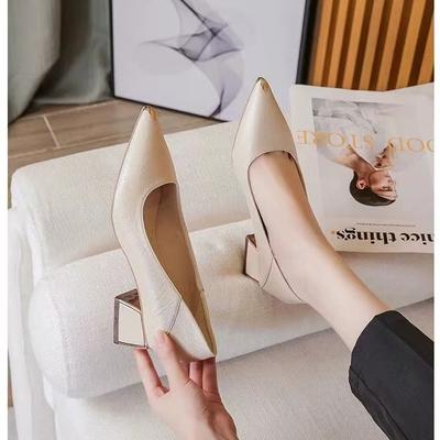 Szpiczaste wysokie obcasy kobiecość gruby obcas 2024 nowe średni obcas wiosna i jesień czarne profesjonalne wszechstronne wygodne miękka podeszwa pojedyncze buty