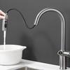 TLXT Kitchen Pull-Out Faucet with Digital Display