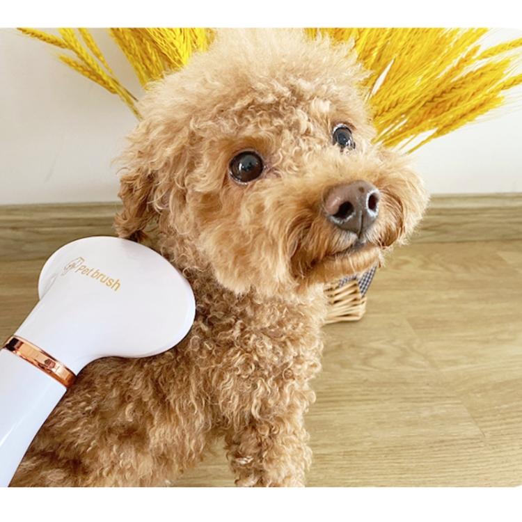 Pet Hair Dryer Cat & Dog Cleaning Electric Comb, Specification:US Plug