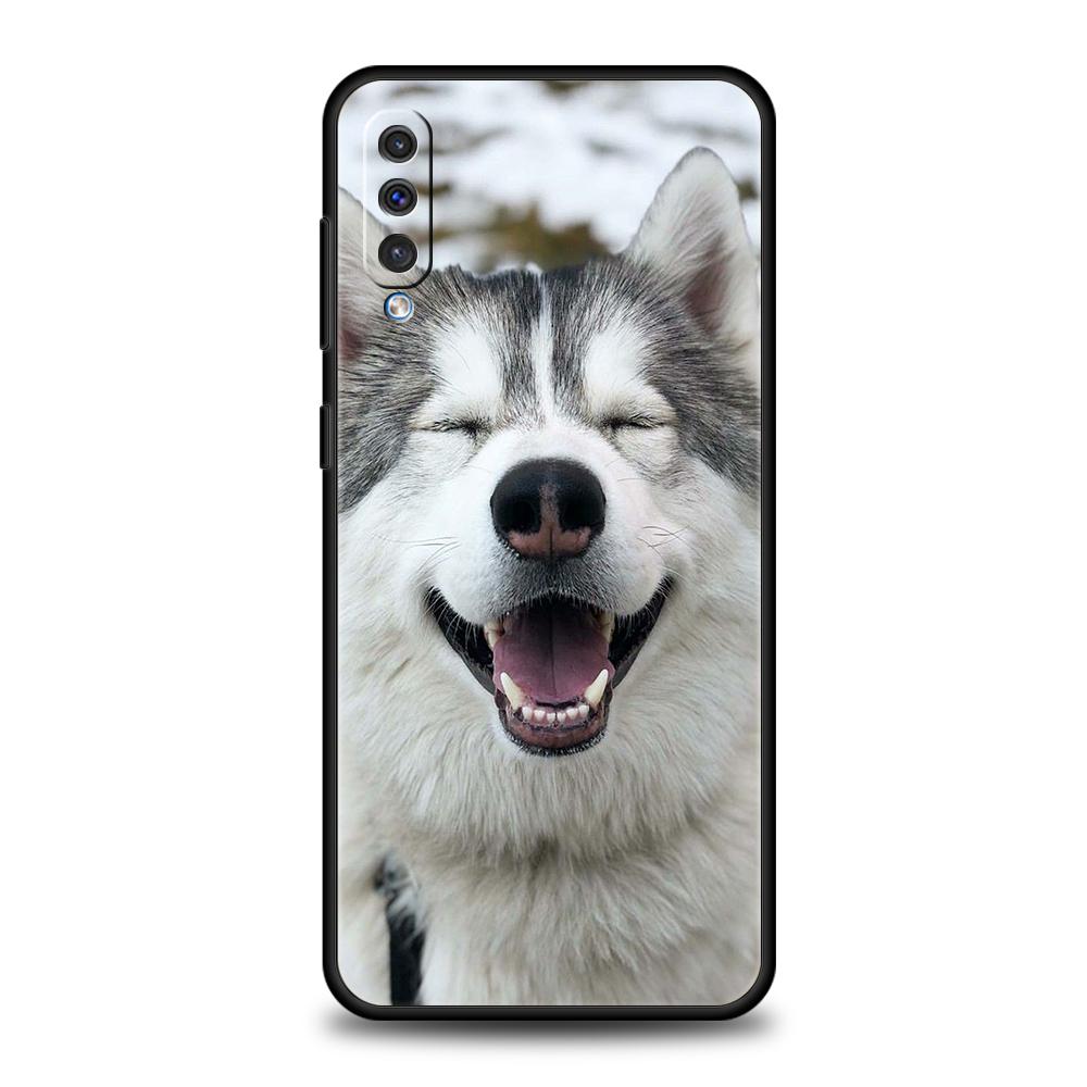 Siberian Husky Sled Dog Phone Case for Samsung Galaxy A24 A13 A53 A73 A33 A22 A12 5G A02 A03 A70 A50 A10 A20 A30 Silicone Cover