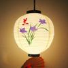 30cm Japanese Izakaya Outdoor Waterproof Decor Lanterns Sake Sushi Lamian Noodles Salmon Cuisine Restaurant Advertising Lantern