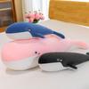 Dolphin Plush Whale Toys Cute Cartoon Girl Kids Bedtime Companions Birthday Gift