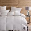 AB Siberian 95% White Goose Down Duvet