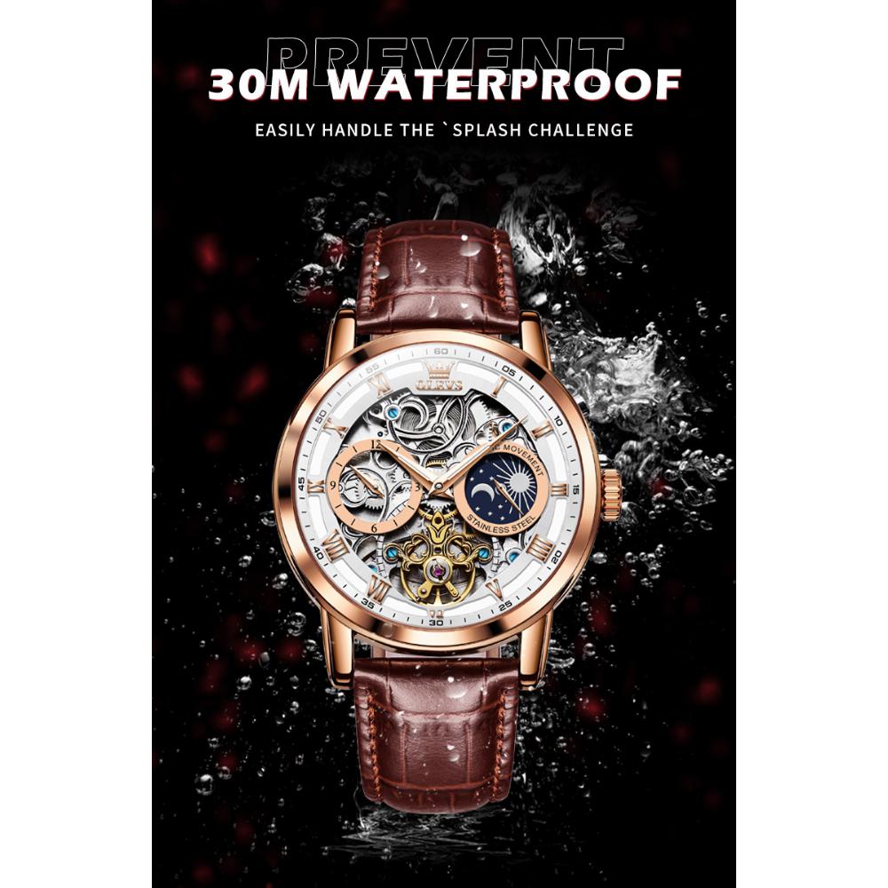 OLEVS New Business and Leisure Men's Automatic Mechanical Watch Multifunctional Large Dial Men's Watch