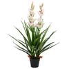Vidaxl Artificial Cymbidium Orchid With Pot, 100 Cm, Green