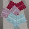 Women Embroidery Lace Panties Sexy Low-waist Briefs Thong G-String Lingerie 6pc
