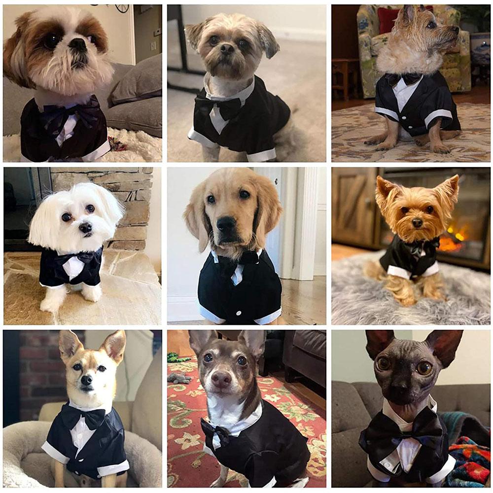 Dog Tuxedo Costume Formal Shirt Dog Wedding Black Jacket Suit Pet Puppy Prince Ceremony Bow Tie Suit Small Dogs Cats Clothes