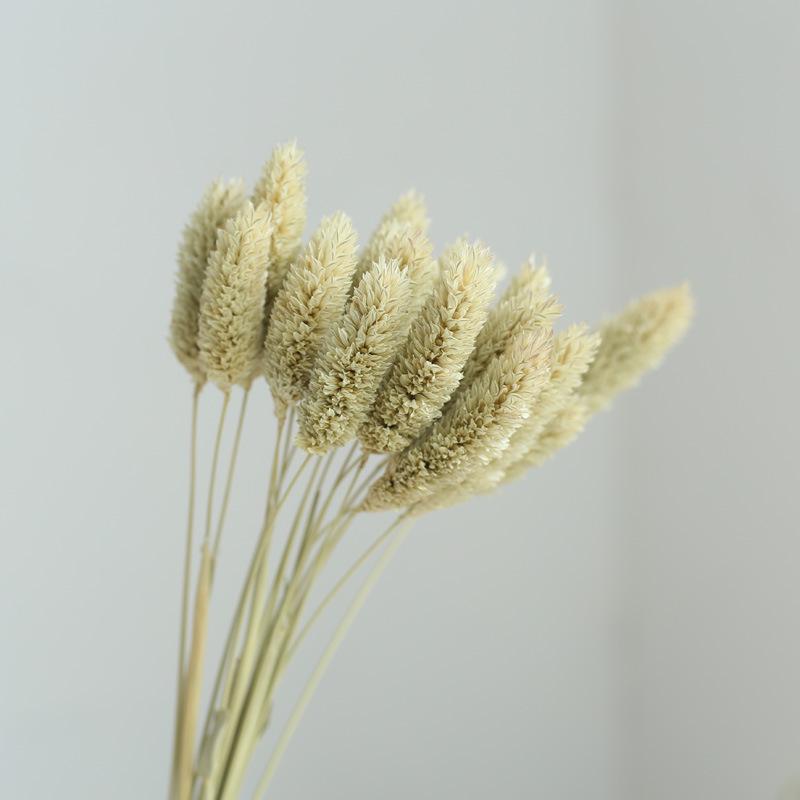Yunnan Dried & Immortal Flowers Bouquet: Baby's Breath, Roses, Forget-Me-Nots for Home & Homestay Decor