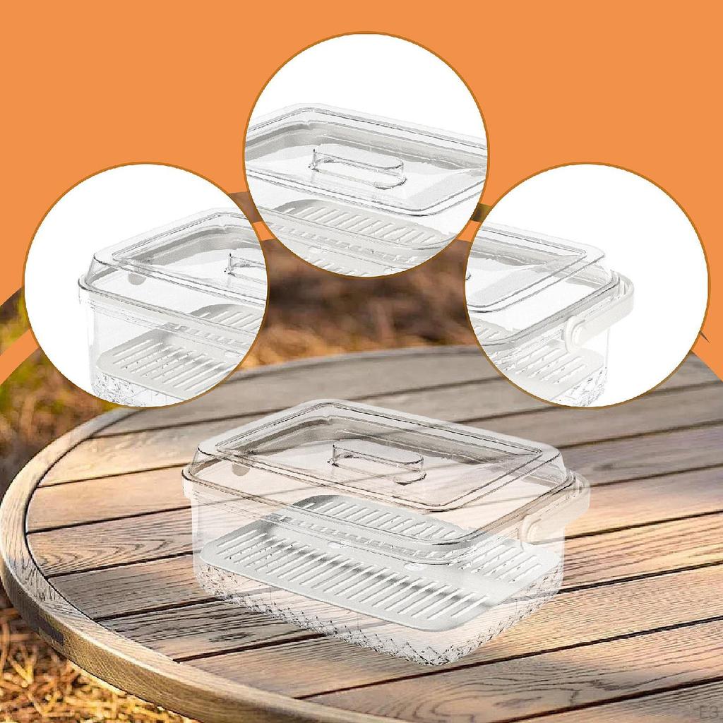 Chilled Fruit Storage Box Clear Container Food Organizer for Outdoor Events