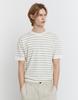 CONCEPTS1ONE Washable Striped Crew Neck Short Sleeve Knit Sweater 10056527/056527 [2Color]