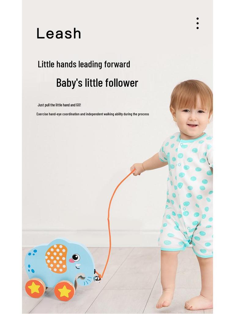 Wooden Animal Baby Walker & Pull Toy for Infants and Toddlers