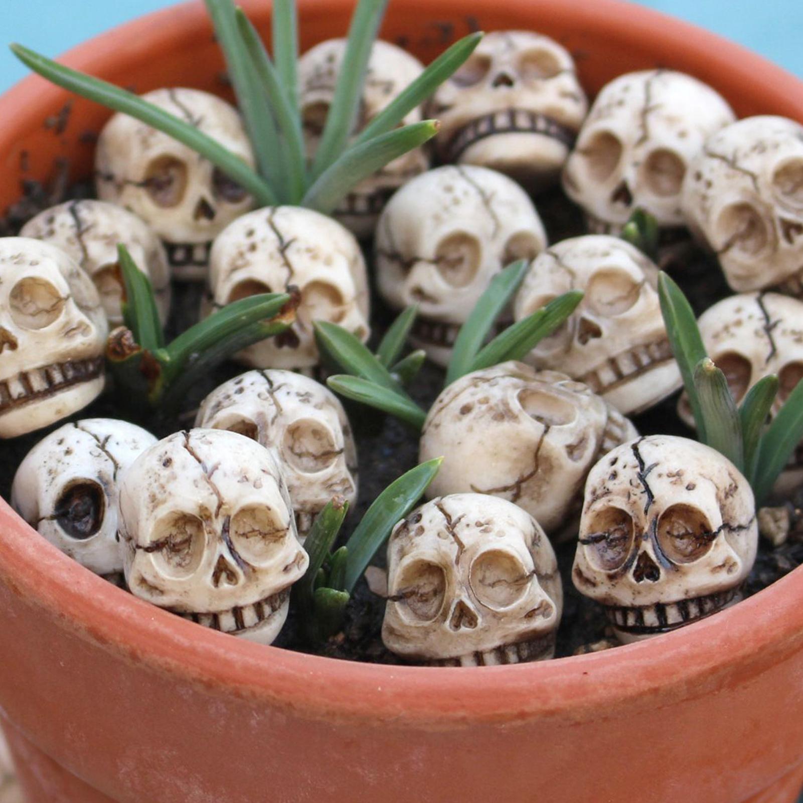 20Pcs Mini Skull Heads Mini Skull Halloween Figurines Halloween Gothic Skull Sculptures Prank Toys Halloween Decorations China Mainland