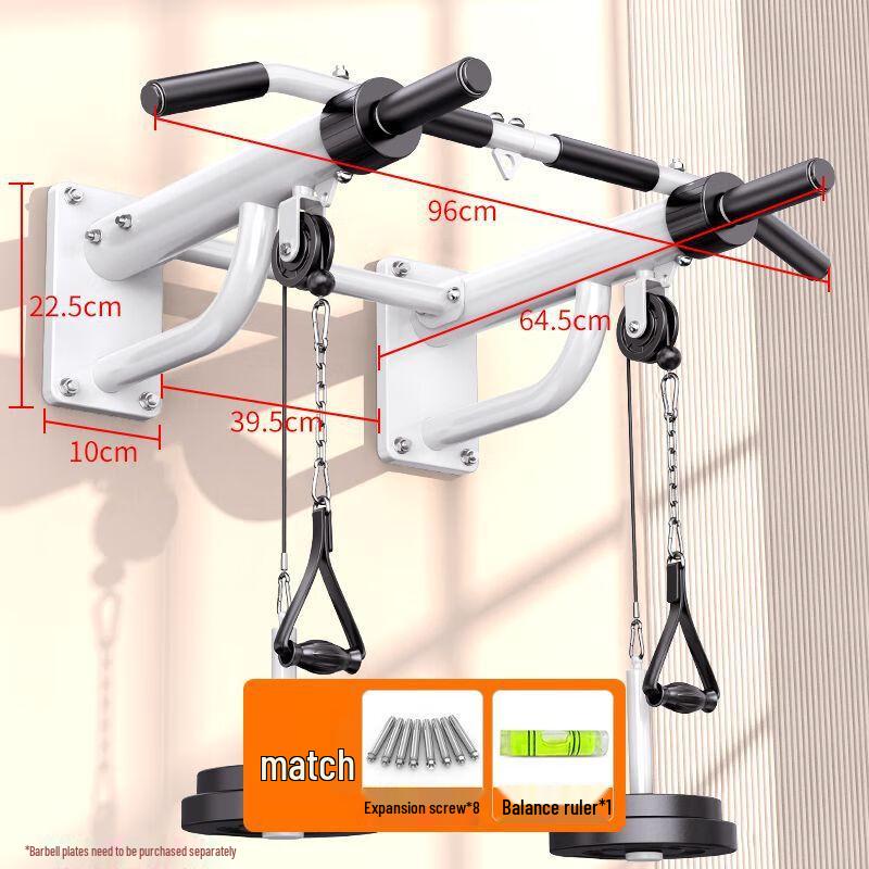 iosn Wall-Mounted Pull-Up Bar