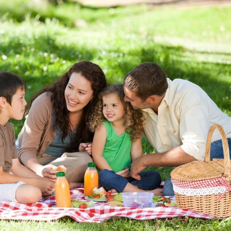 Country Style Wicker Picnic Basket Camping Basket With Lid Handle And Liners For Picnics Party Barbecue