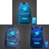 Fairy Tail Backpack Canvas School Bag With Zipper For Students Travel