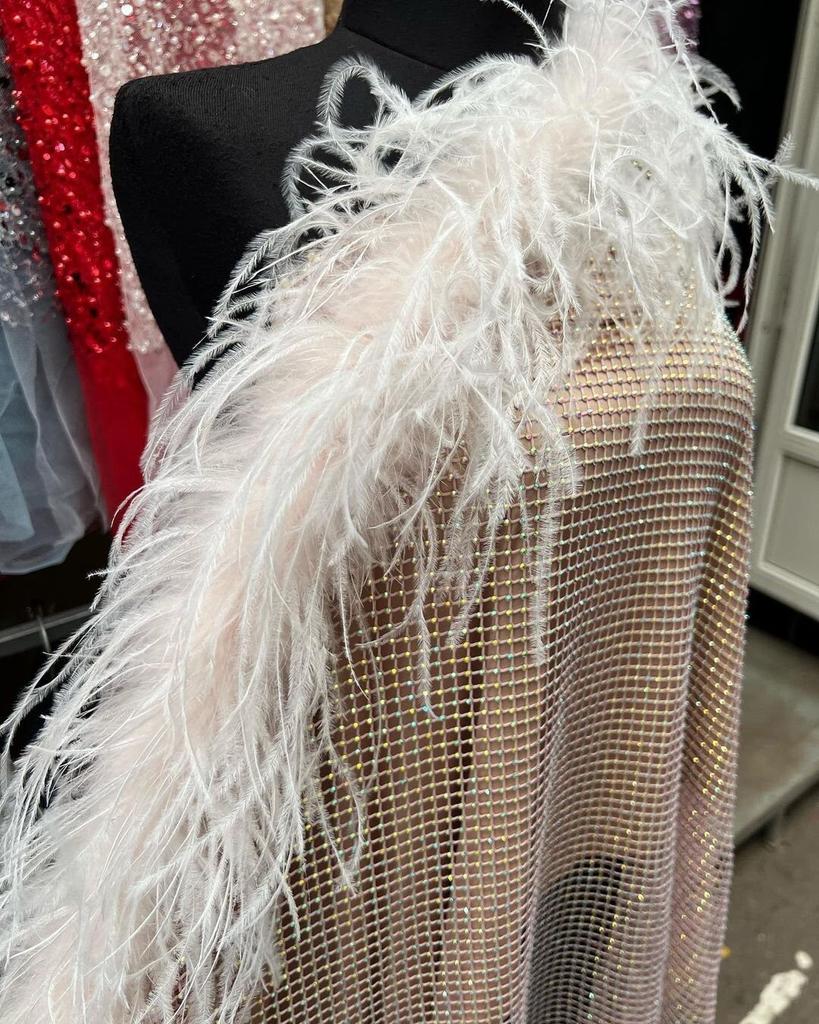 DIY 6 Ply Ostrich Feathers Boa 0.5M/1M/2M/3M Long Feather Shawl Costume Boa Plumes Carnival Clothes Dress Sewing Feather Trim Crafts