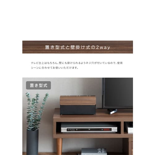 Miyatake Seisakujyo Storage Case Game Console Case TEER Brown