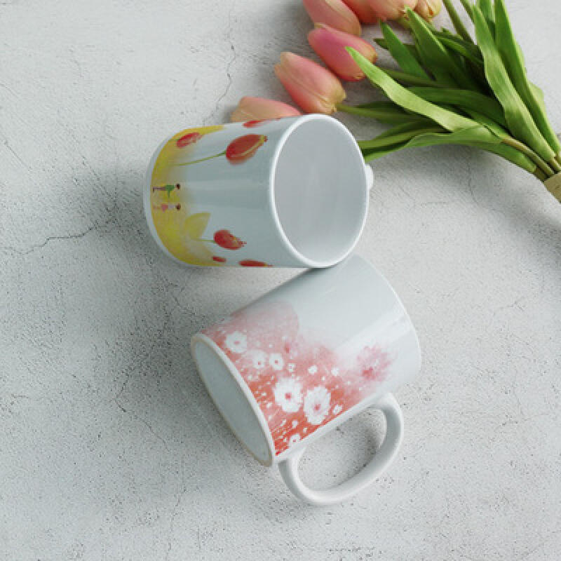 cb729-Design Mug 2p-Spring Story