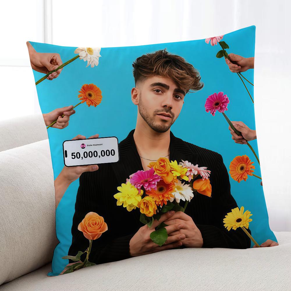 Cushion Cover Home Bedding Sofa Living VVigevani Room Celebrity Pillowcase Simple Soft FFede Skin Cushion Cover Party Internet