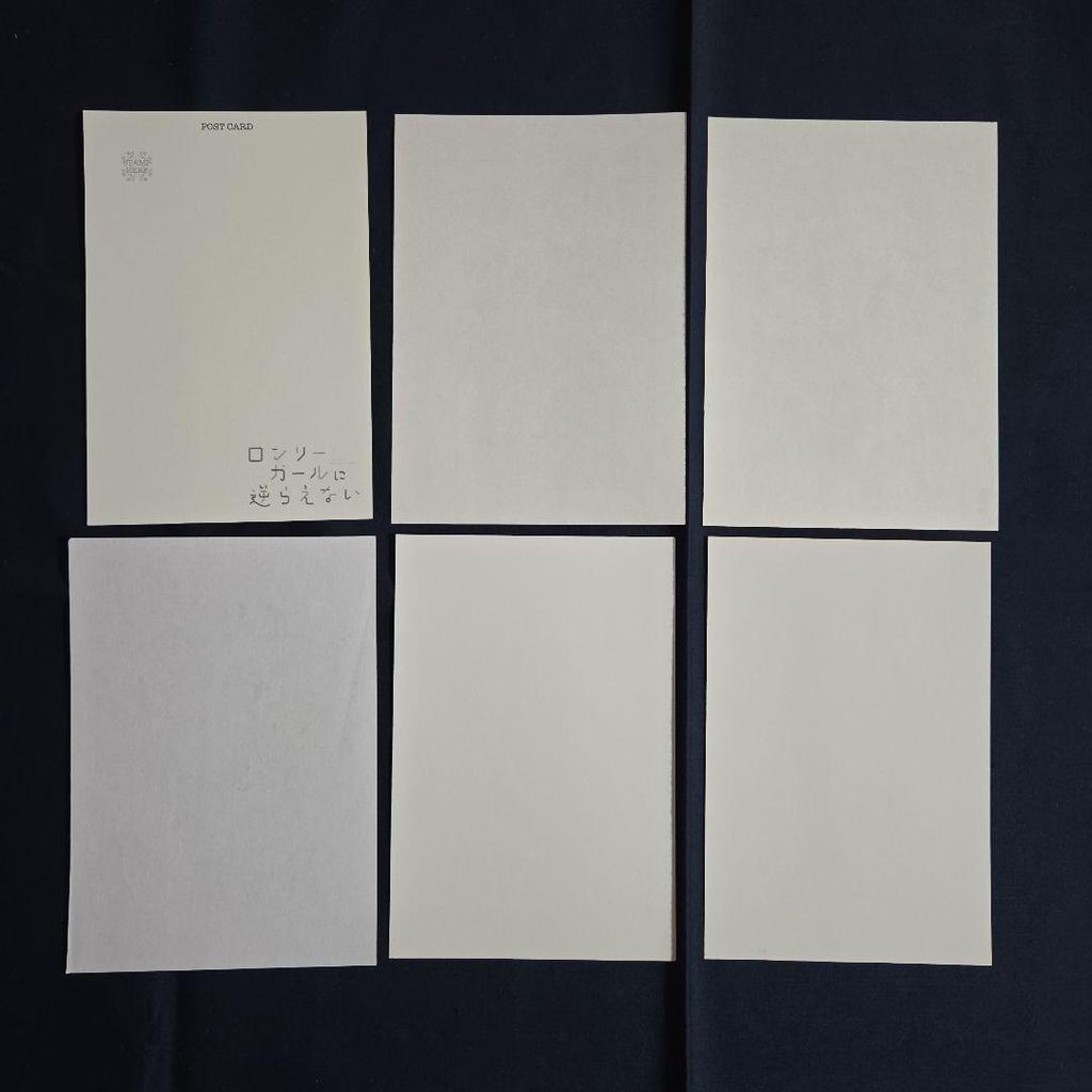 [USED] Lonely Girl Can't Resist Bonus Illustration Card Postcard Toranoana