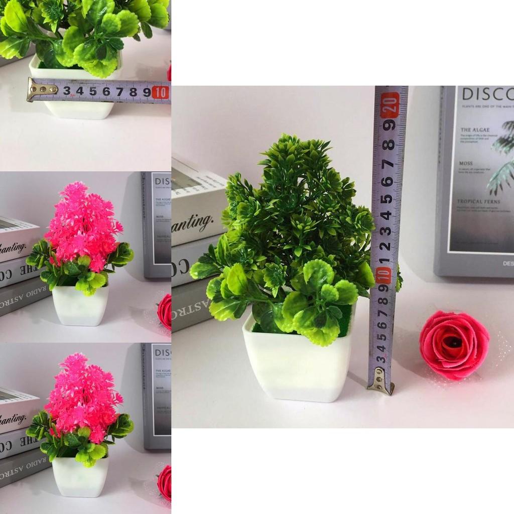 Artificial Flower And Foliage Miniature With Plastic Construction For Indoor Decoration