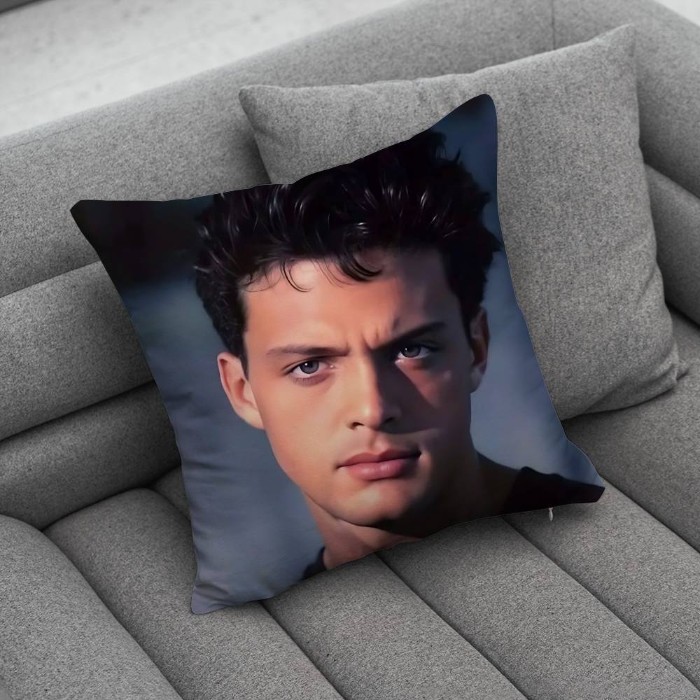 LLuis Miguel Singer  Creative patterned pillowcases for interior decoration office living room home