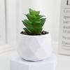 Diamond Succulent Set: Desktop Potted Ornament Decor
