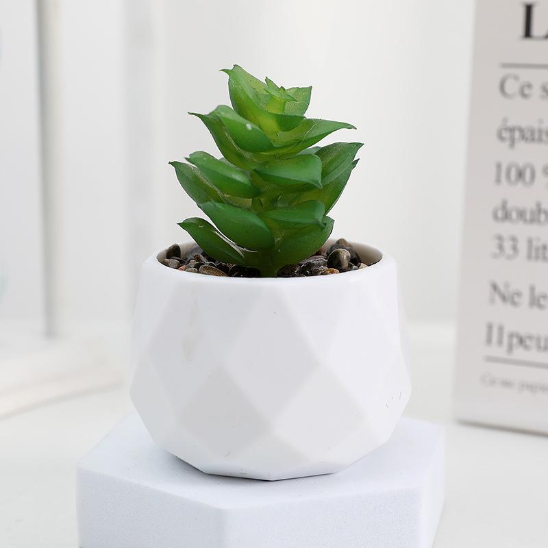 Diamond Succulent Set: Desktop Potted Ornament Decor