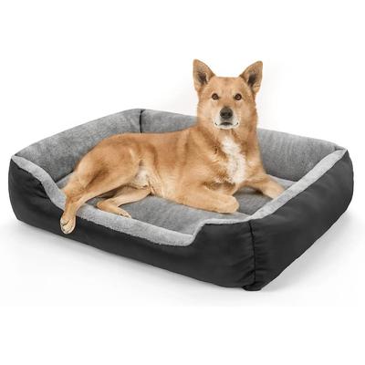 Cani – Cucce, cucce da esterno, box per cani