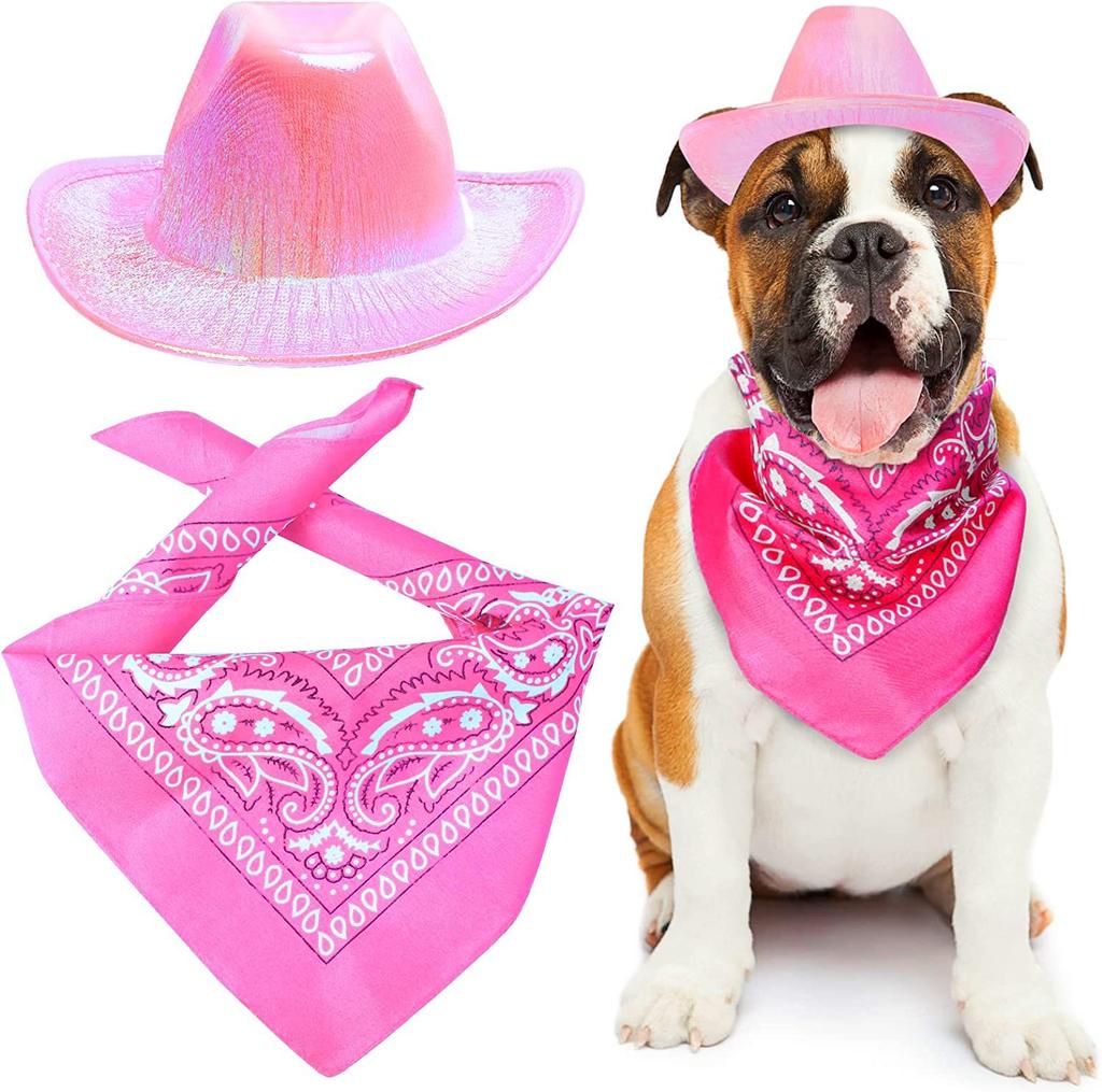 Pet Neon Shiny Space Cowboy Hat Clothing Set Dog Cat Symphony Cowboy Hat Western Cowboy Accessories