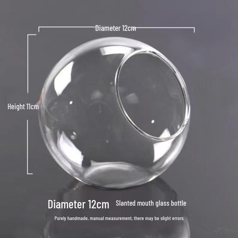 Transparent Slanted Glass Vase for Succulents and Hydroponic Flowers