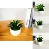 Fake Sinocrassula Indica Plant Pot With Pvc Material For Home Decor And Photography Props