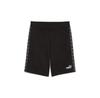 Puma Shorts 684683