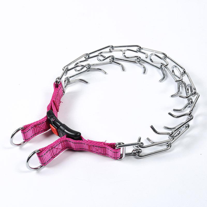 Avtagbar Metallhundträningshalsband med Järnspänne