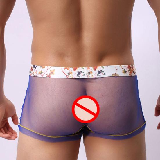 Herreundertøy Komfortabelt Stilig gjennomsiktig menns nettingtrusse Gjennomsiktig undertøy