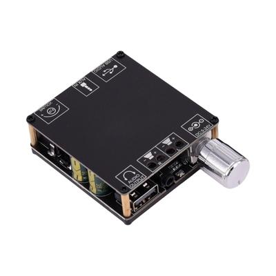 Placa Amplificadora Digital Estéreo de Canal Duplo 100W x 2 Compatível com Bluetooth 5.0 Com Entradas Auxiliares USB Para Sistema de Áudio de Casa e Carro
