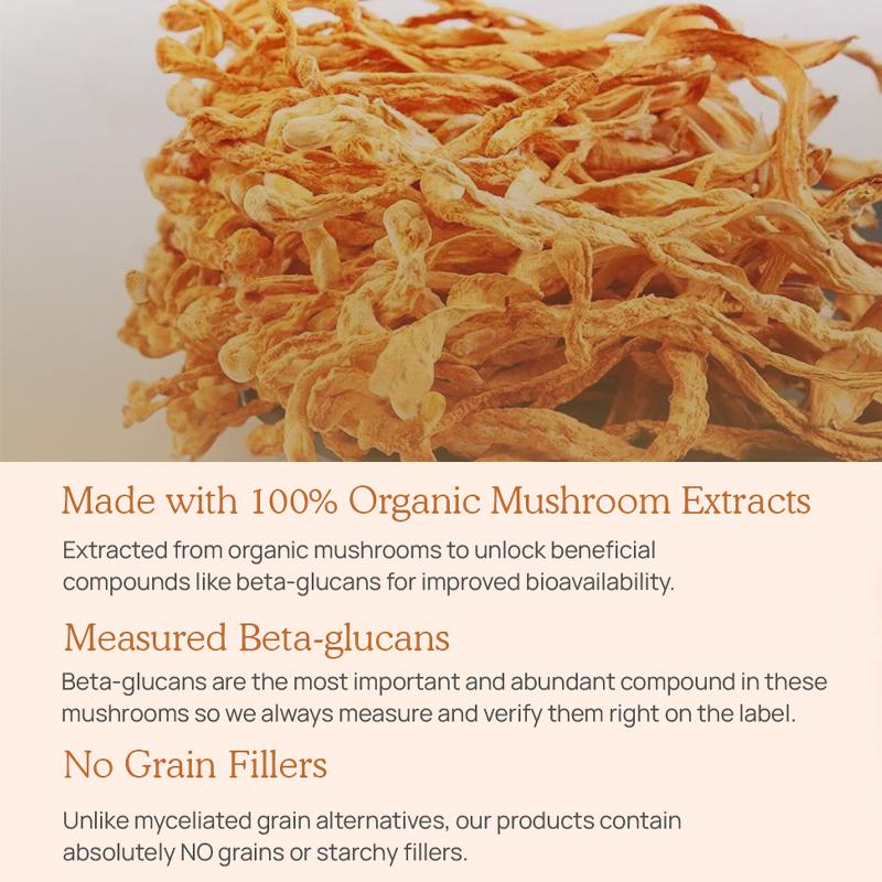 Pslalae Cordyceps Sinensis + Mushroom Extract Capsules - Energy, Immune Health