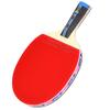 Paletă de Tenis de Masă Fluture